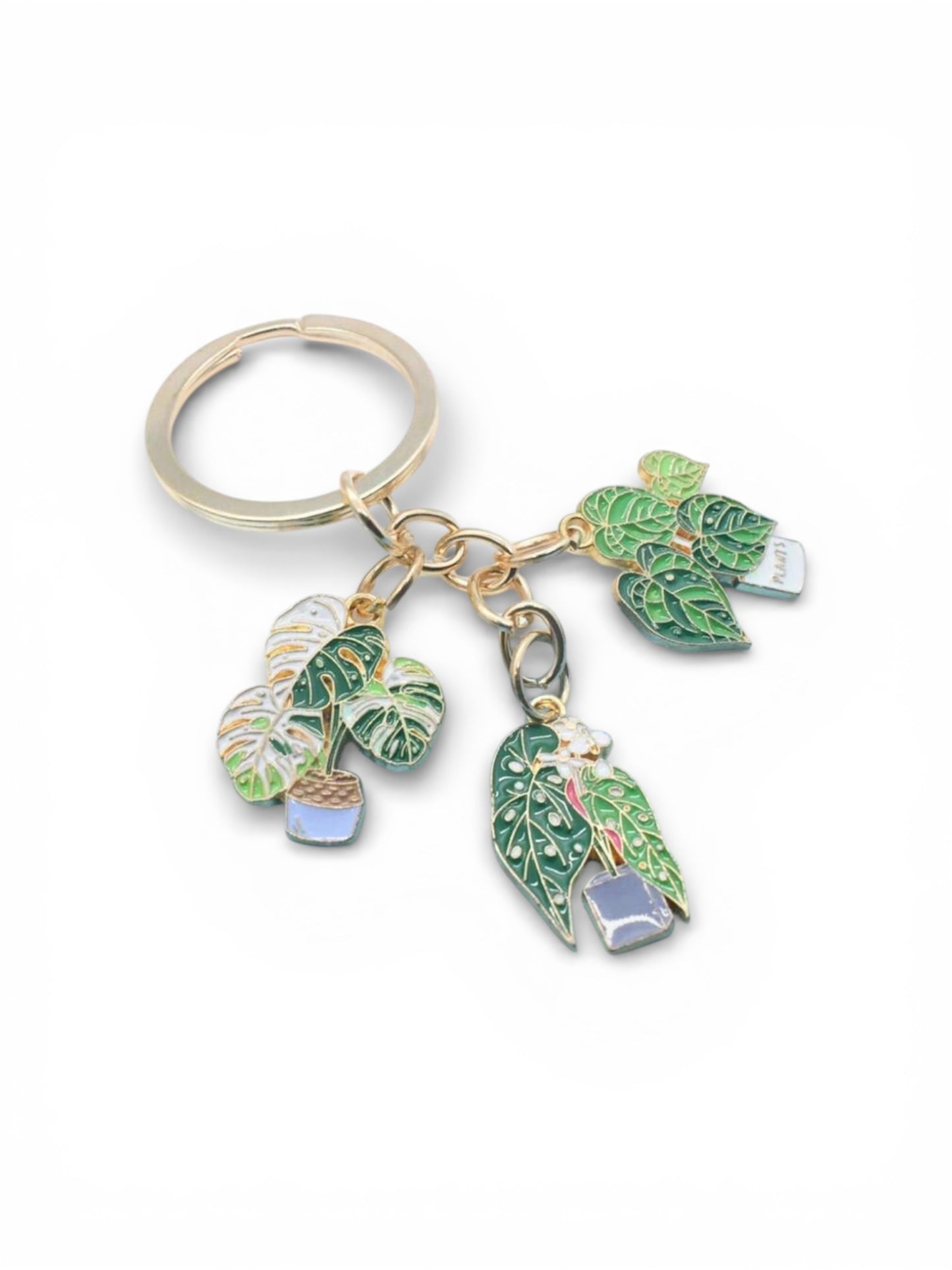 PLANT COLLECTION IN PROGRESS KEYCHAIN