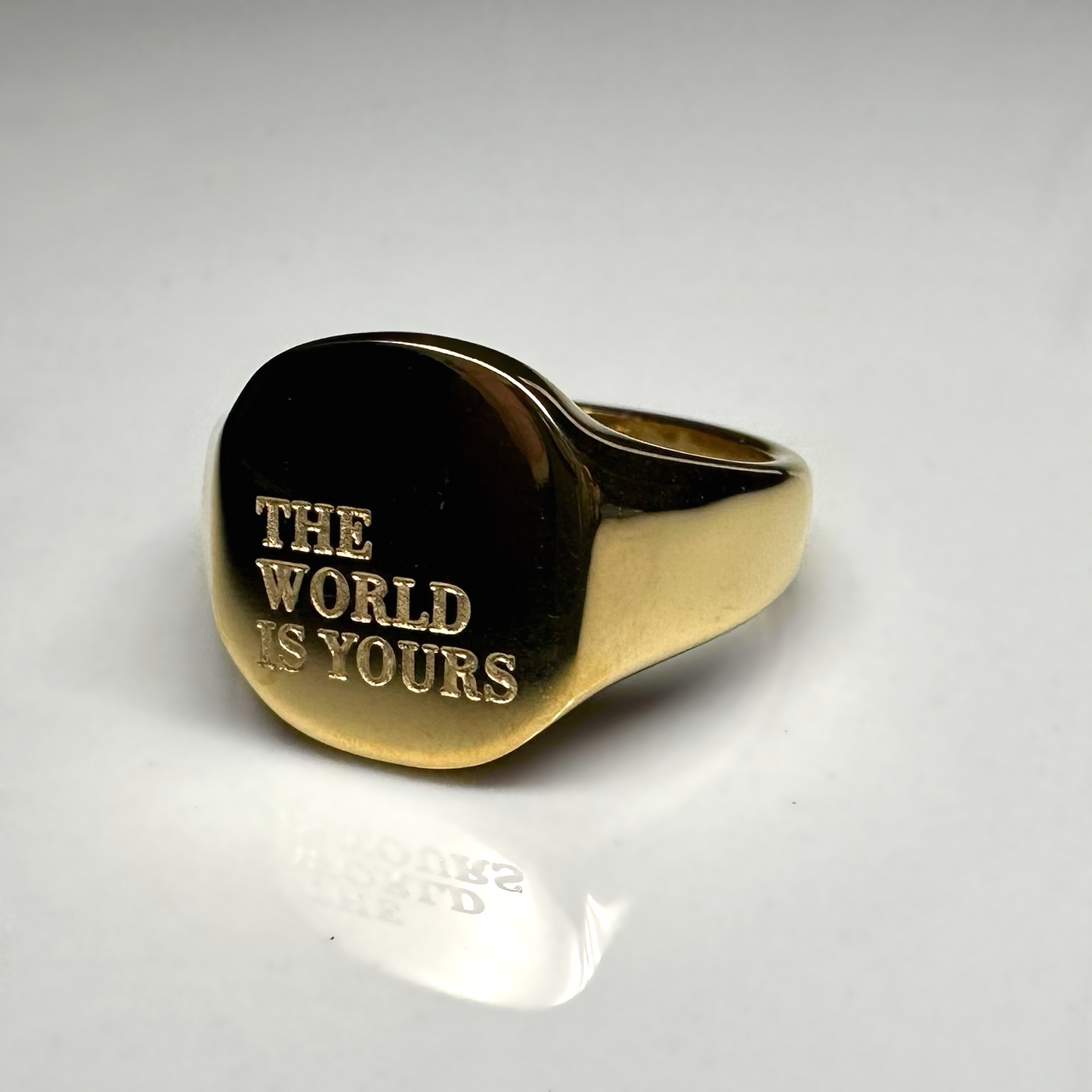 THE WORLD IS YOURS WATER RESISTANT RING